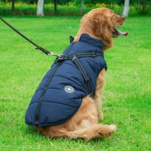 Waterproof Winter Pet Jacket with Built-in Harness