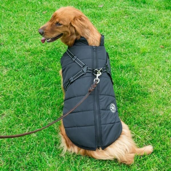 Waterproof Winter Pet Jacket with Built-in Harness