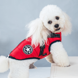 Waterproof Winter Pet Jacket with Built-in Harness