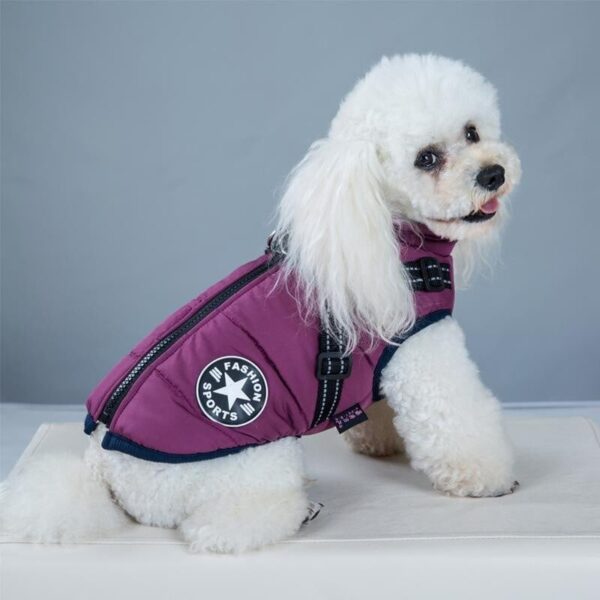 Waterproof Winter Pet Jacket with Built-in Harness