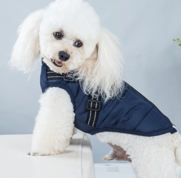 Waterproof Winter Pet Jacket with Built-in Harness