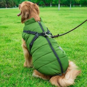 Waterproof Winter Pet Jacket with Built-in Harness