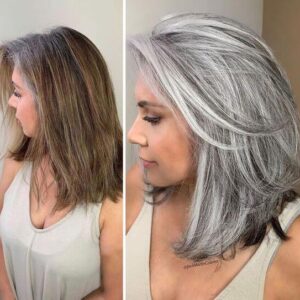 Silver Gray Natural Hair Dye Cream