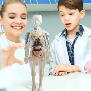 BodyQuest® - Learning Model of the Human Body - For Kids