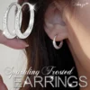 Aexzr™ S925 Silver Sparkling Frosted Earrings