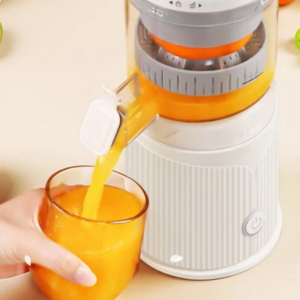 Portable Press Juicer Machine