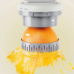 Portable Press Juicer Machine