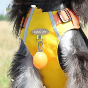 Waterproof Reflective Vest Harness with Zipper Pocket and D-ring for Dogs