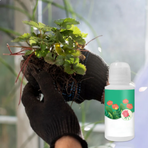 Universal Plant ＆ Flower Activation Liquid Solution