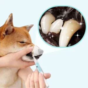 2pcs Pet Tooth Whitening Cleaning Pen Set