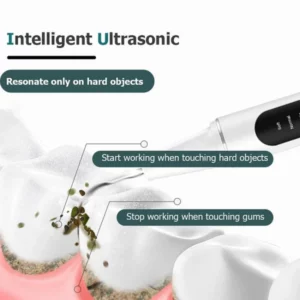 Electric Ultrasonic Dental Scaler for Teeth Cleaning