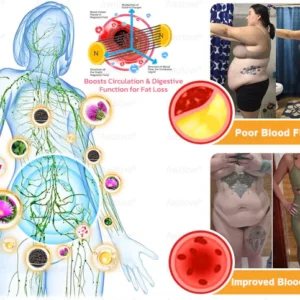 ThermoMagnetic Fat-Burning Patch, Approved by The Obesity Society