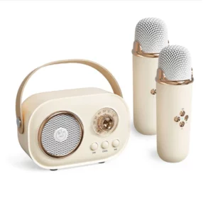 Portable Bluetooth Speaker with Wireless Microphone