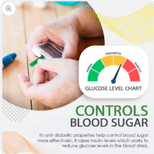 AEXZR™ Blood Sugar Health & Wellness Series