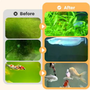 Algae & Moss Remover for Fish Tank - Safe Water Purification