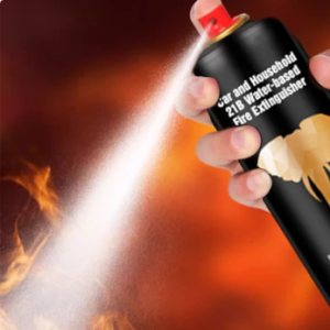 Car and Household 21B Water-based Fire Extinguisher